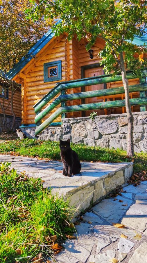 Kozak Apartments & Restaurant Мойковац Екстериор снимка