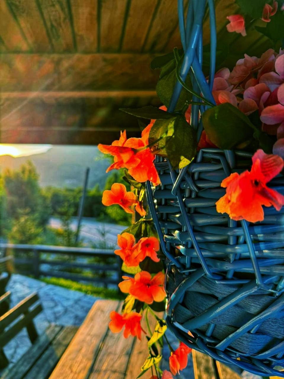 Kozak Apartments & Restaurant Мойковац Екстериор снимка