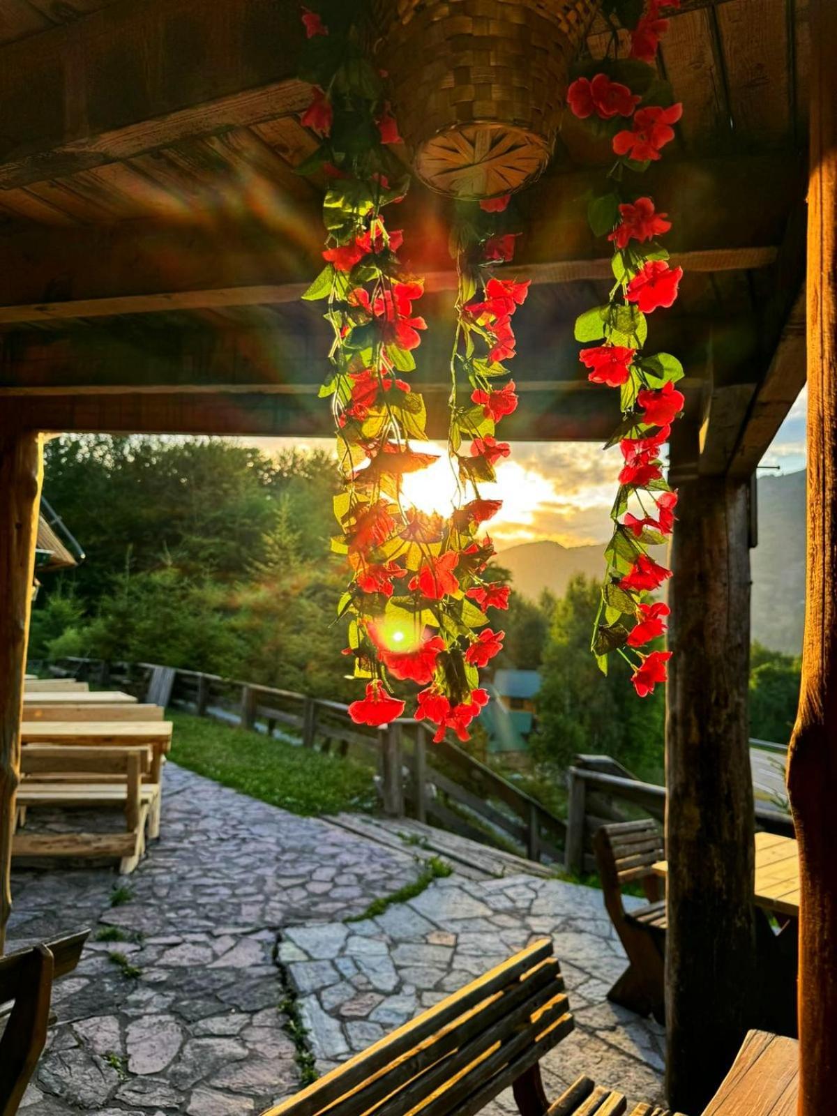 Kozak Apartments & Restaurant Мойковац Екстериор снимка
